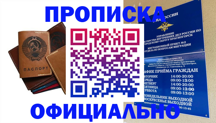 временная прописка в Емве